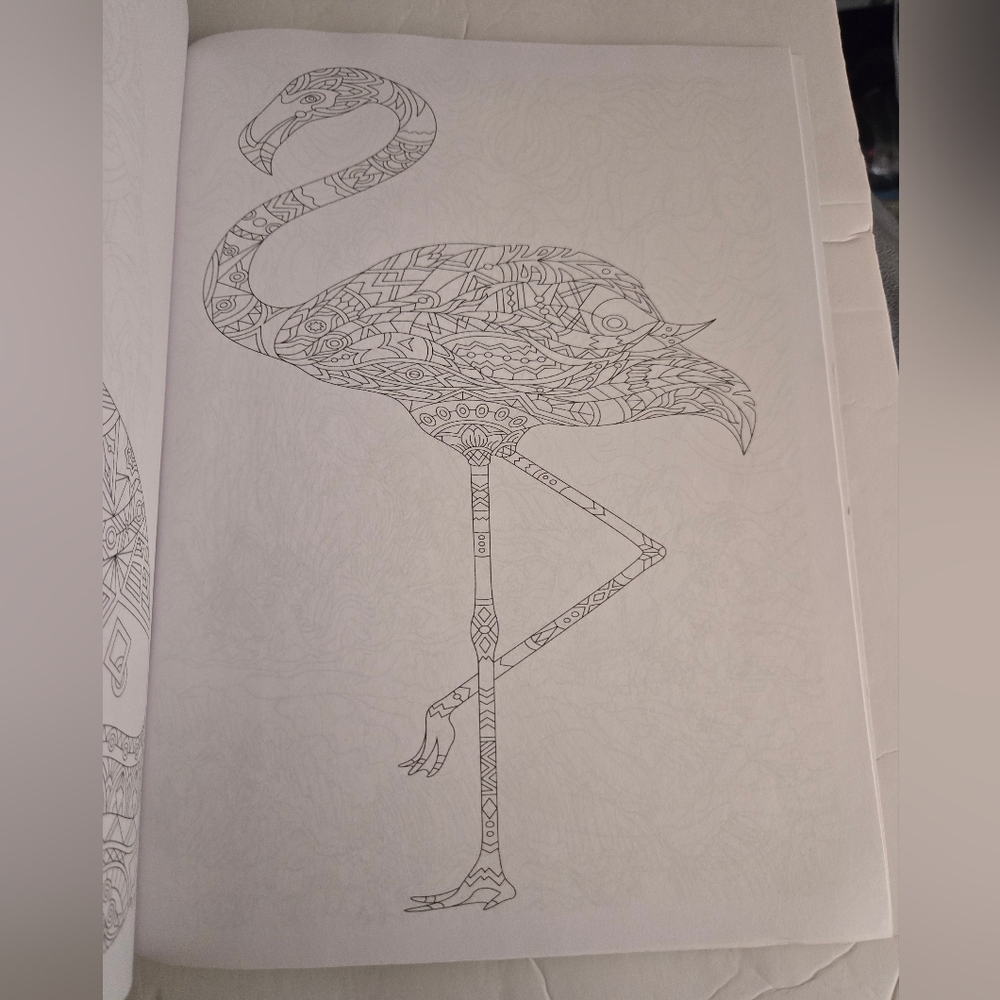Bundle/3 Adult Coloring Books - Picture 12 of 16